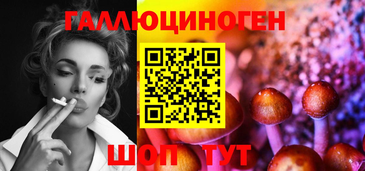 Псилоцибиновые грибы прущие грибы  Вход с VPN  Вольск 