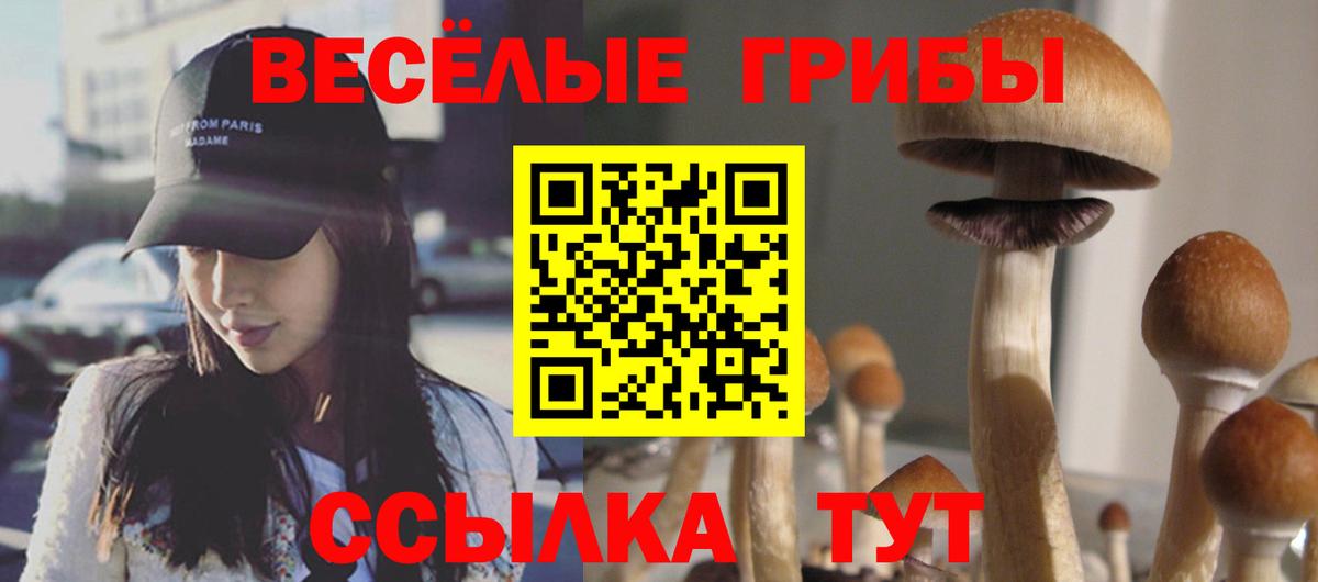 Галлюциногенные грибы Psilocybe Вольск